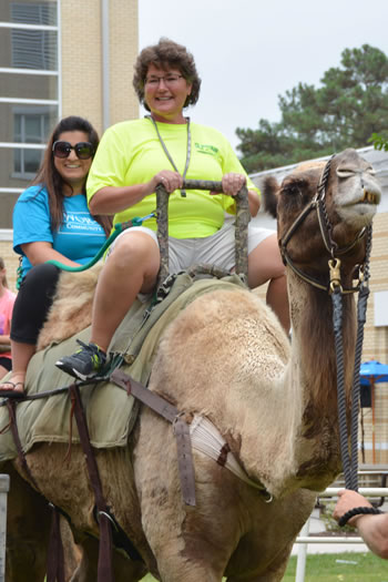 Camel Rides.