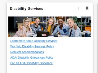 Disability Services Card on the portal