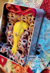 Cover of Echoes & Visions journal