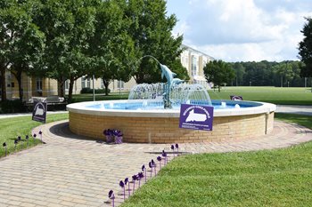 Fountain with Go Purple Signs